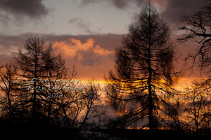 Lakeland Photographer Neil Salisbury of Betty Fold Gallery Hawkshead